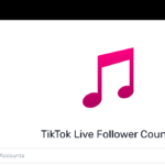 Livecounts.io - TikTok Tracker: A Comprehensive Guide