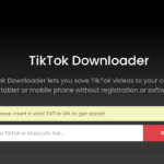 TT Downloader for Tiktok